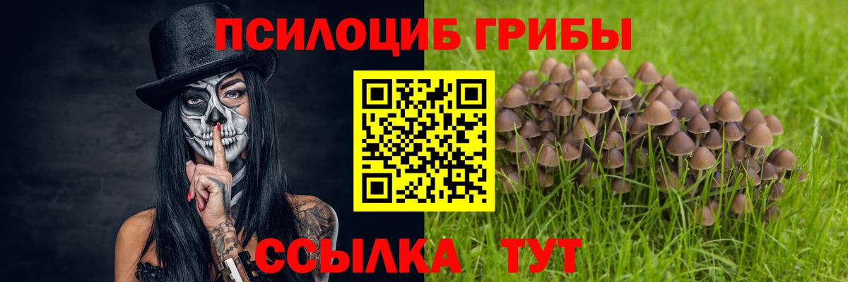 Аша  Галлюциногенные грибы GOLDEN TEACHER  Вход с VPN  Псилоцибиновые грибы MAGIC MUSHROOMS 